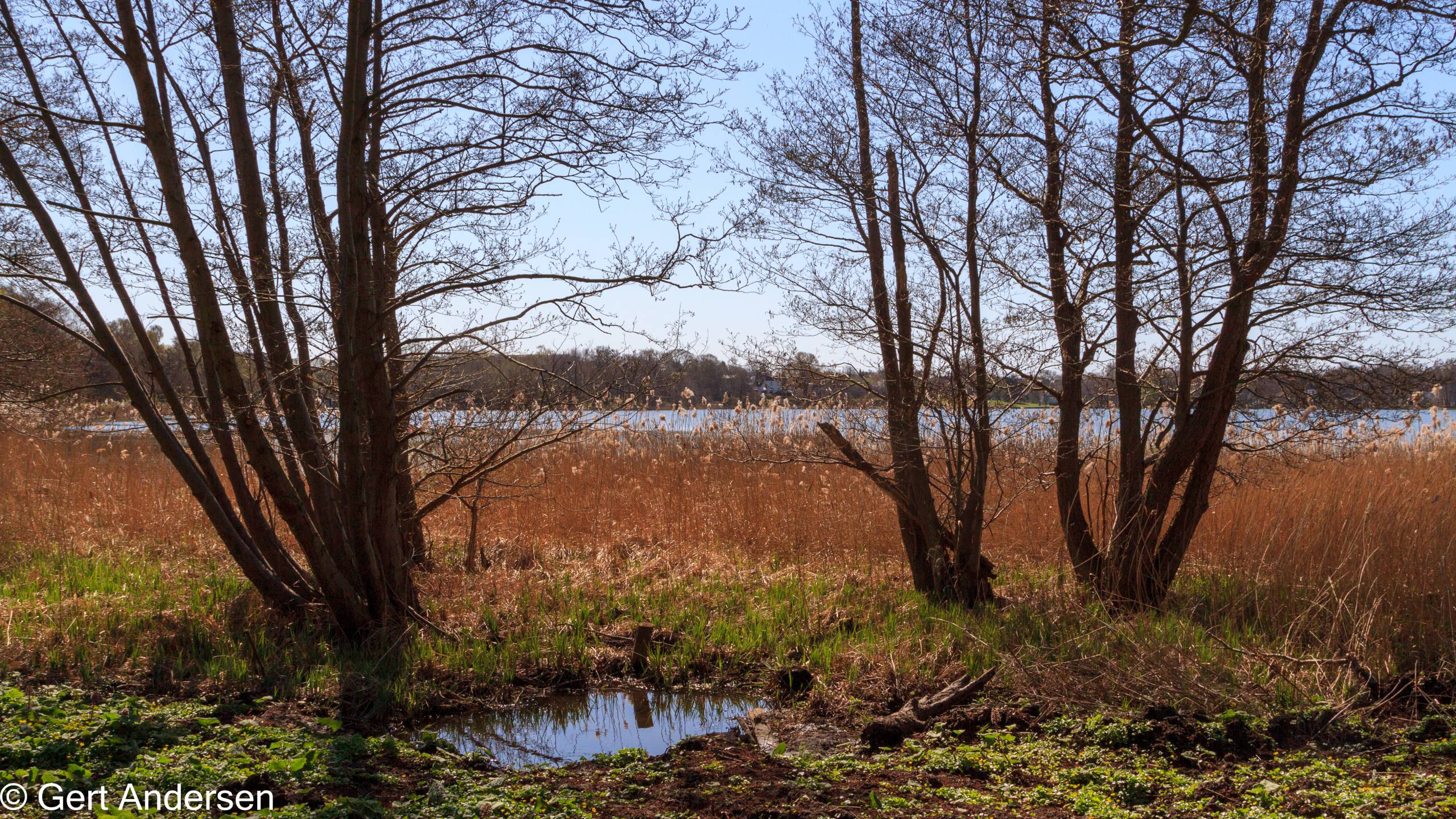 Lyngby Sø (10 of 37) compressed